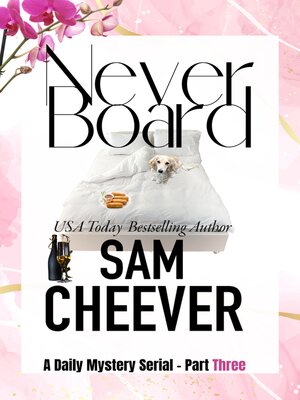 cover image of Never Board Part Three